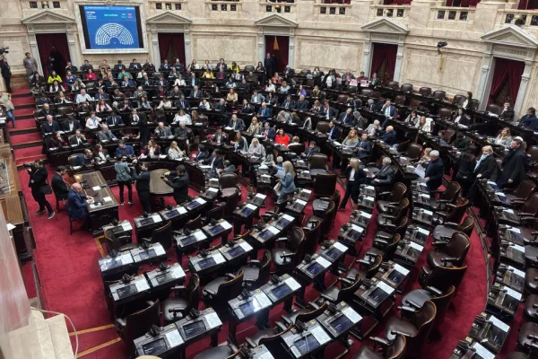 Elecciones 2025: quiénes son los diputados que buscan la reelección y cuántos tienen un lugar asegurado