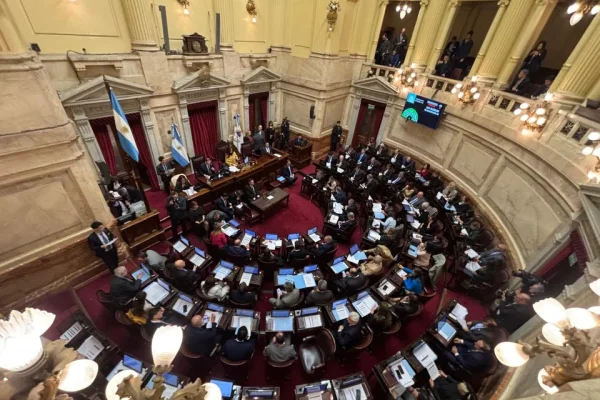El Senado busca convertir en ley el financiamiento universitario y la emergencia en pediatría
