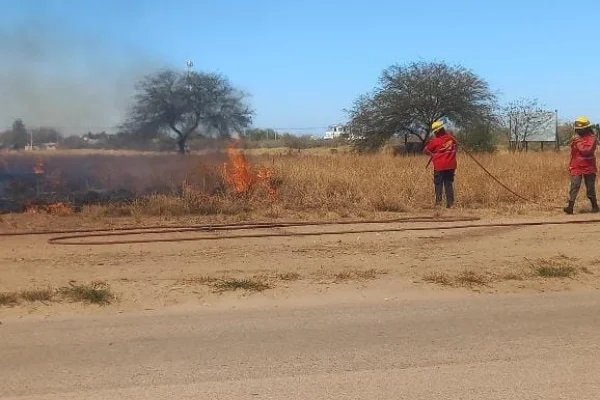 Bomberos controlaron focos de incendios forestales
