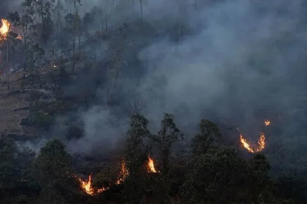 España: el gobierno dará ayuda a las zonas afectadas por incendios forestales