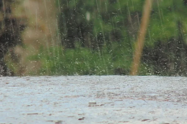 Alivio para el campo tras un fin de semana de intensas lluvias en todo el dpto. Rosario Vera Peñaloza