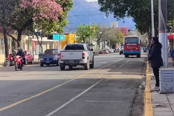 Fuertes críticas de los comerciantes a los carriles exclusivos del Rioja Bus