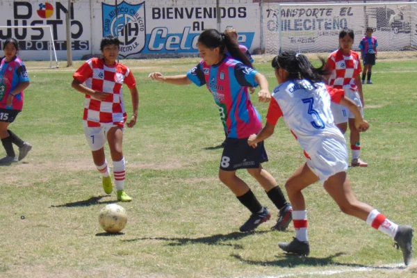 Chilecito será la sede del Provincial Sub-18