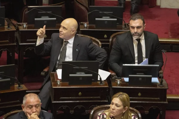 Día clave en el Senado por el veto en Discapacidad