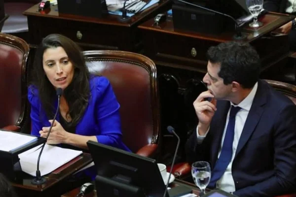 Día clave en el Senado por el veto en Discapacidad