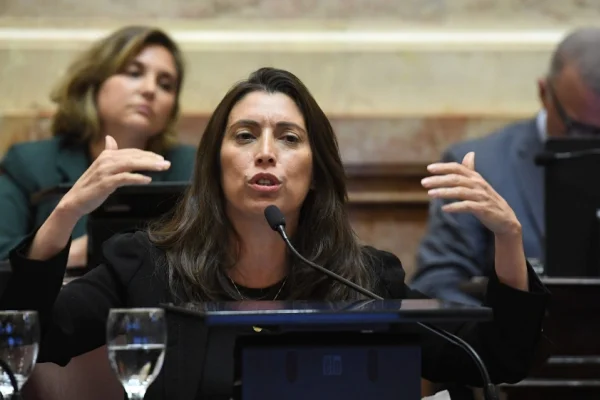 Ley de Emergencia en Discapacidad: López aseguró que el Senado rechazará el veto de Milei