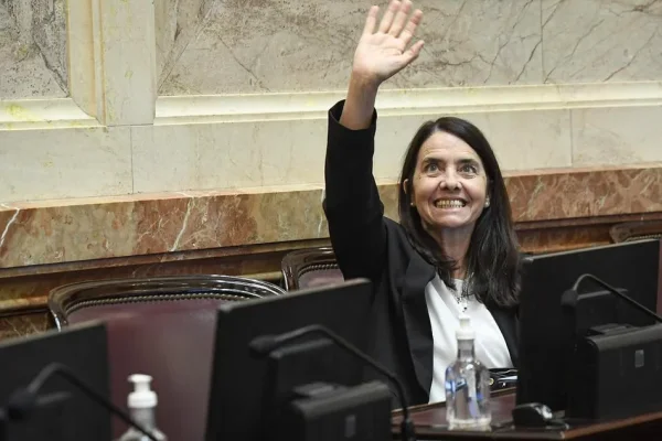 La senadora del PRO Álvarez Rivero apoyará el veto de Milei en Discapacidad