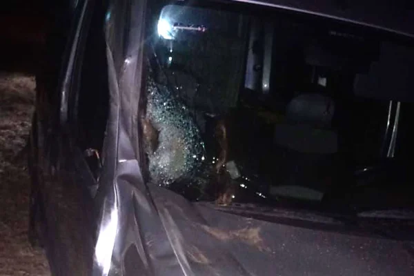 Un joven chocó con un animal en Ruta 9 y resultó ileso
