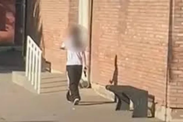 La adolescente que ingresó armada a una escuela en Mendoza pasó la noche en el hospital