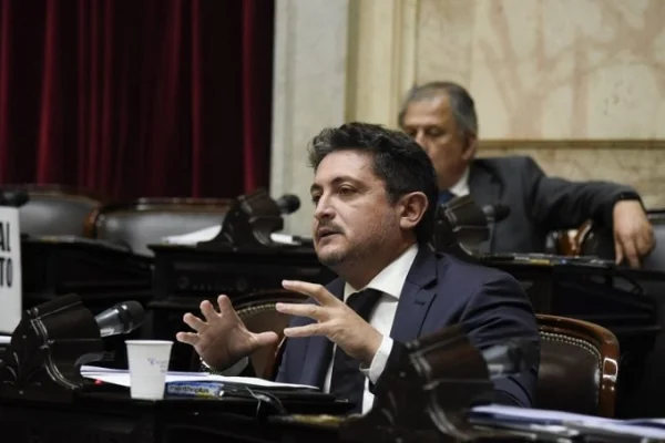 Ricardo Herrera: “Tenemos la esperanza de alcanzar los votos para rechazar los vetos”