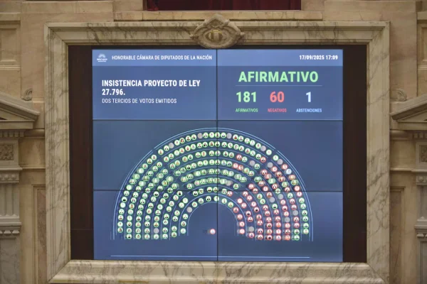 Contundente rechazo a los vetos de Milei: Diputados ratificó el financiamiento del Garrahan y las universidades