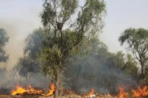 Defensa Civil alerta por el Zonda: piden extremar cuidados para prevenir incendios en la provincia