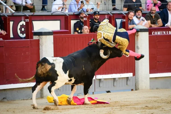 Toro embiste a matador y lo deja gravemente herido