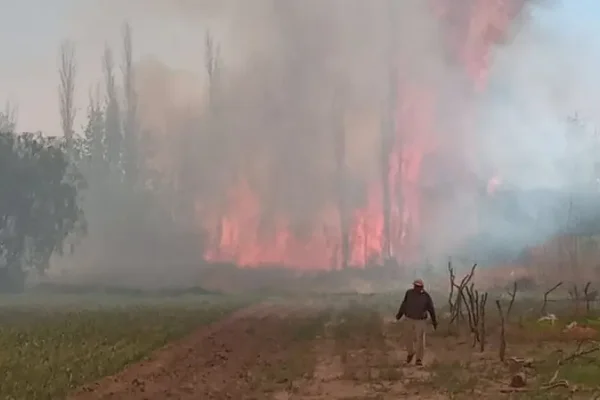 El devastador incendio en Los Sauces dejó tres detenidos como supuestos autores