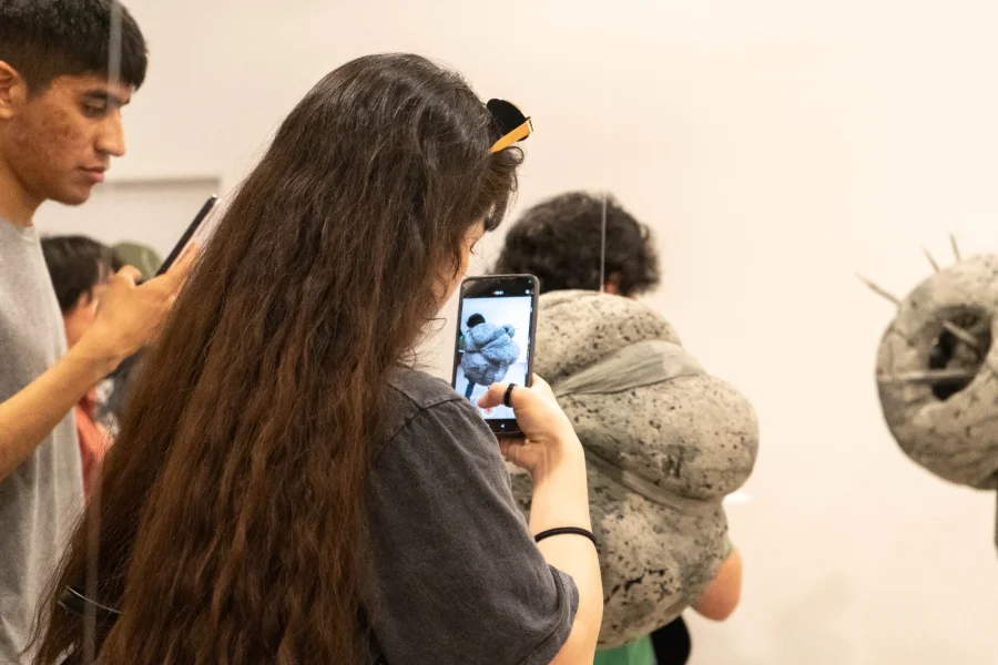 La artista Maricel Andrada señaló: “Con más de 35 años en el arte, muchas veces me tocó traspasar fronteras y se me hizo muy difícil. Fronteras Abiertas es la herramienta ideal, porque nos emociona y cumple en parte los sueños que tenemos a diario como artistas”.