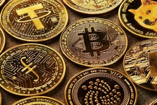 Alerta: sitio oficial del Gobierno promociona la “Sommer Token” como un criptomoneda nacional