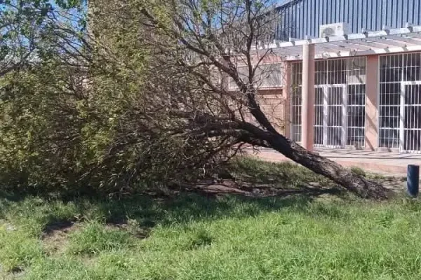 El viento causó destrozos en Ulapes y suspendieron clases en escuelas afectadas