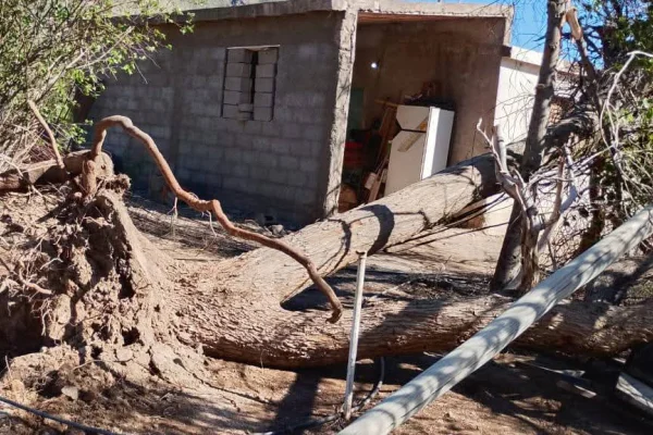 Ulapes: El Municipio pide circular con máxima precaución tras los graves daños ocasionados por el viento
