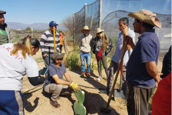 La comunidad de Los Colorados apuesta por la producción