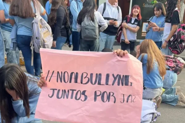 Advierten desde Educación un marcado incremento de casos de bullying en La Rioja