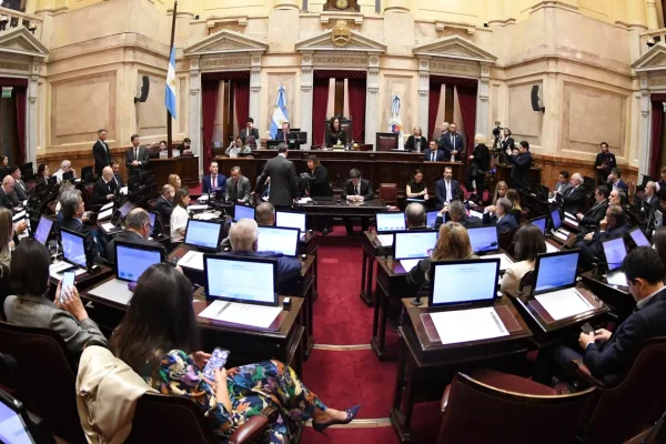 El gobierno espera un nuevo revés en el Senado
