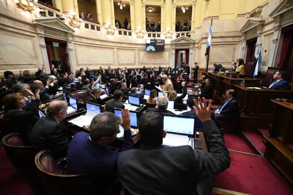 El Senado busca rechazar los vetos de Milei al Garrahan y Universidades