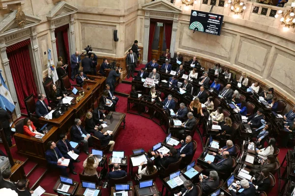 Nuevo revés para el Gobierno: el Senado rechazó los vetos de Milei al financiamiento del Garrahan y las universidades