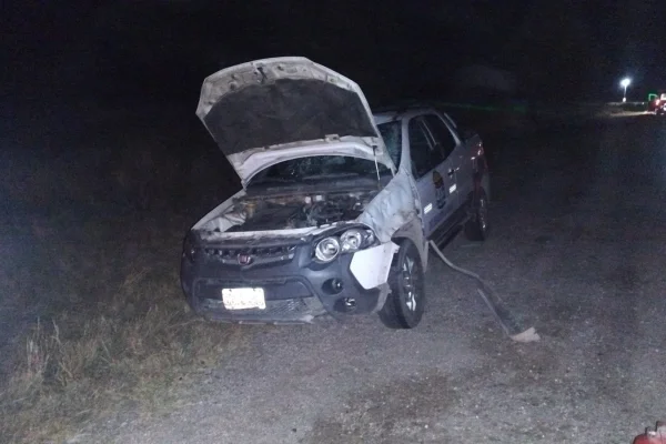 Accidente en Ruta 38: una camioneta impactó contra un caballo