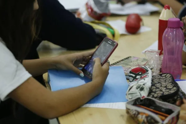Diputada presentó proyecto para prohibir el uso de celulares en Escuelas Primarias de La Rioja