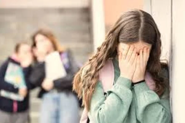 Educación aclaró su intervención y defendió el accionar ante el caso de bullying en el Colegio 1