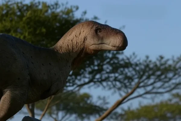 Descubren una nueva especie de dinosaurio en La Rioja: el Vitosaura Colozacani