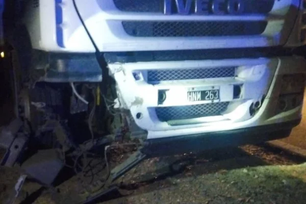Catuna: Camión chocó una vaca en Ruta 79