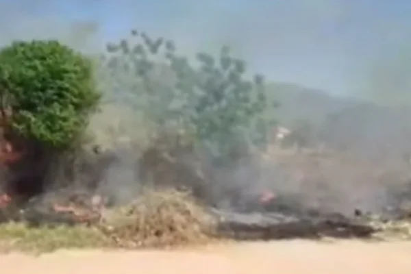Incendio de gran magnitud en un terreno baldío de la zona sur de la ciudad