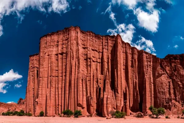 Día Nacional del Guardaparque: Guardianes del patrimonio natural de nuestro país