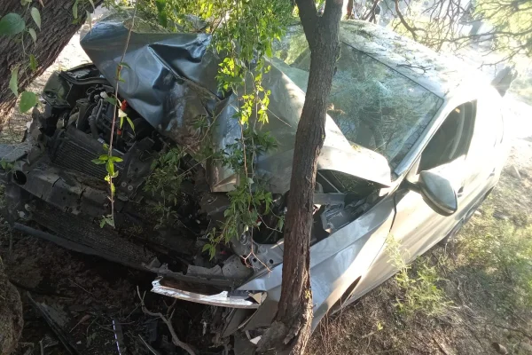 Un hombre chocó a un auto estacionado y terminó contra un árbol