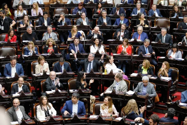 Elecciones 2025: el Peronismo busca alcanzar 100 bancas y el oficialismo tener un tercio del Parlamento