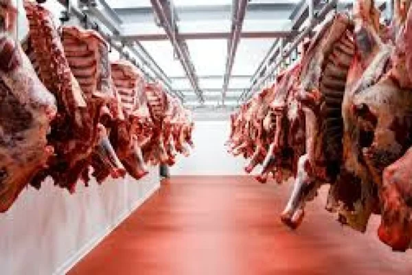 Cómo fueron las exportaciones de carnes a Estados Unidos