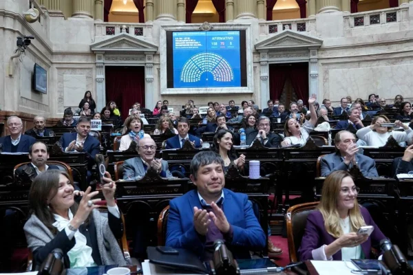 Promulgaron las leyes de financiamiento universitario y emergencia pediátrica, pero postergaron su aplicación