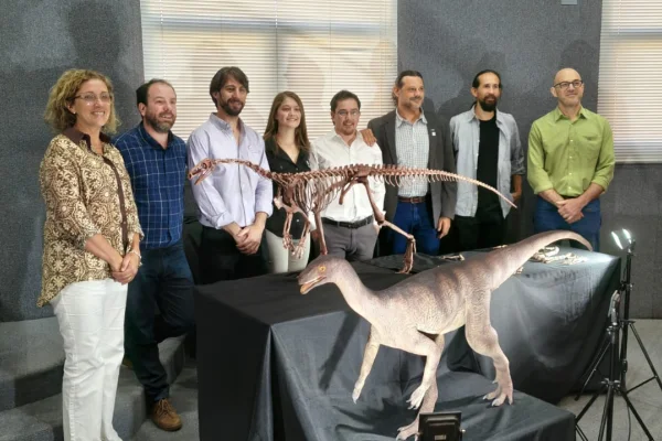 Presentaron oficialmente al nuevo dinosaurio Huayracursor jaguensis en el Museo de Ciencias Naturales