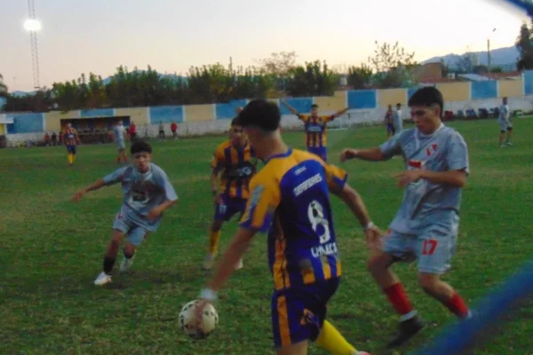 Fútbol: Dos duelos abren sus series de cuartos de final de la Liga Chileciteña