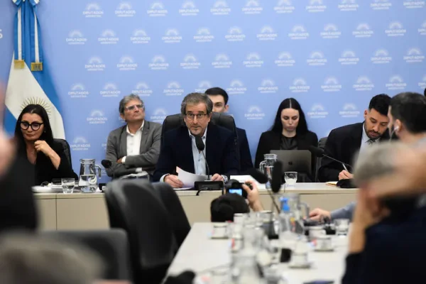Avanza el debate del Presupuesto y la oposición quiere votarlo antes de que ingresen los nuevos legisladores