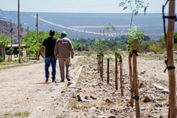 Ambiente de Provincia forestó barrio Puesta del Sol en Chilecito