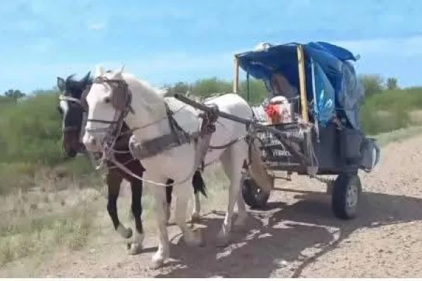Cordobés recorre 600 kilómetros en carro tirado por caballos rumbo a San Juan para cumplir una promesa
