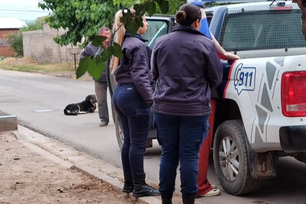 La policía detuvo a una mujer tras un intento de robo