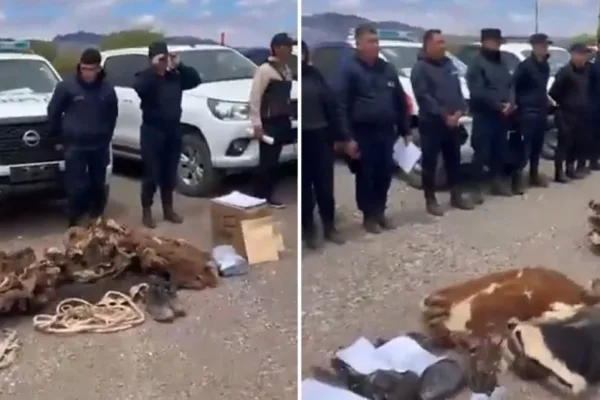 Detalles del operativo que desarticuló la banda de cuatreros que operaba en San Juan y La Rioja