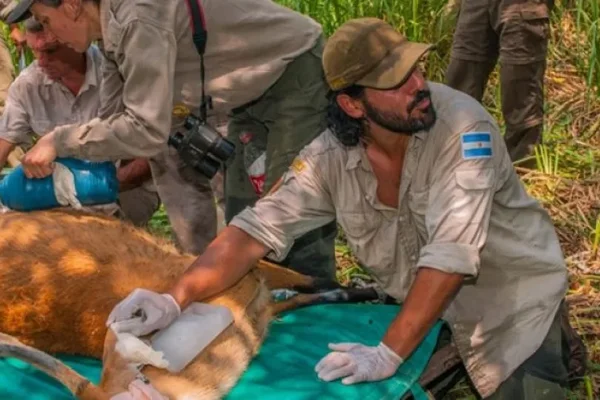 Premian a un argentino que enfrentó a una red de cazadores ilegales