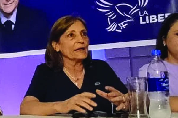 La oposición aumentó 2 bancas en la Cámara de Diputados