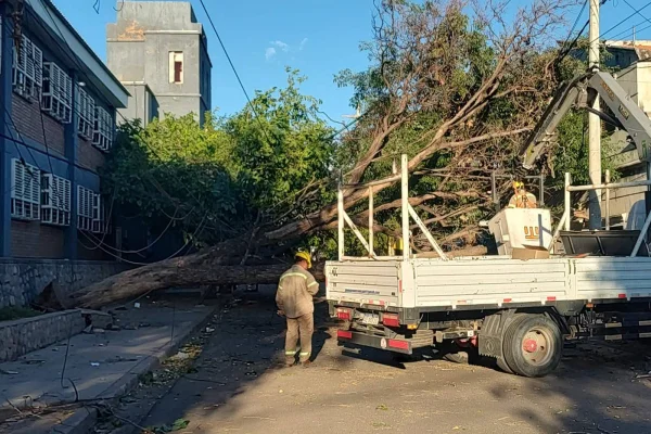 El COE trabaja para restablecer servicios y asistir a la población afectada por el temporal