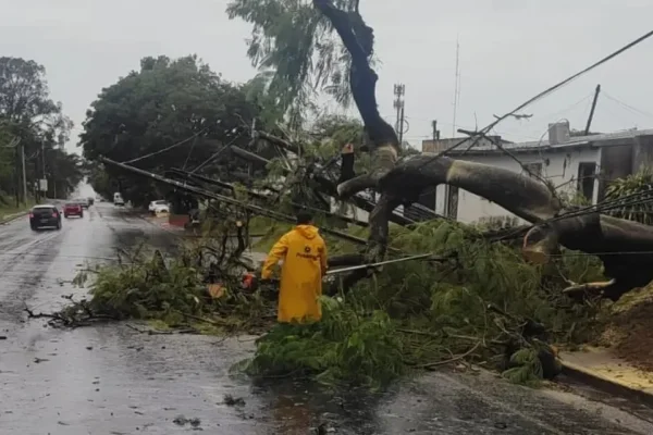 Dos tornados dejaron severos destrozos en Misiones y el sur de Brasil