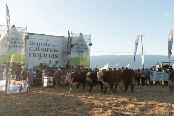 La Provincia  prepara el 4° Remate de Cabañas Riojanas